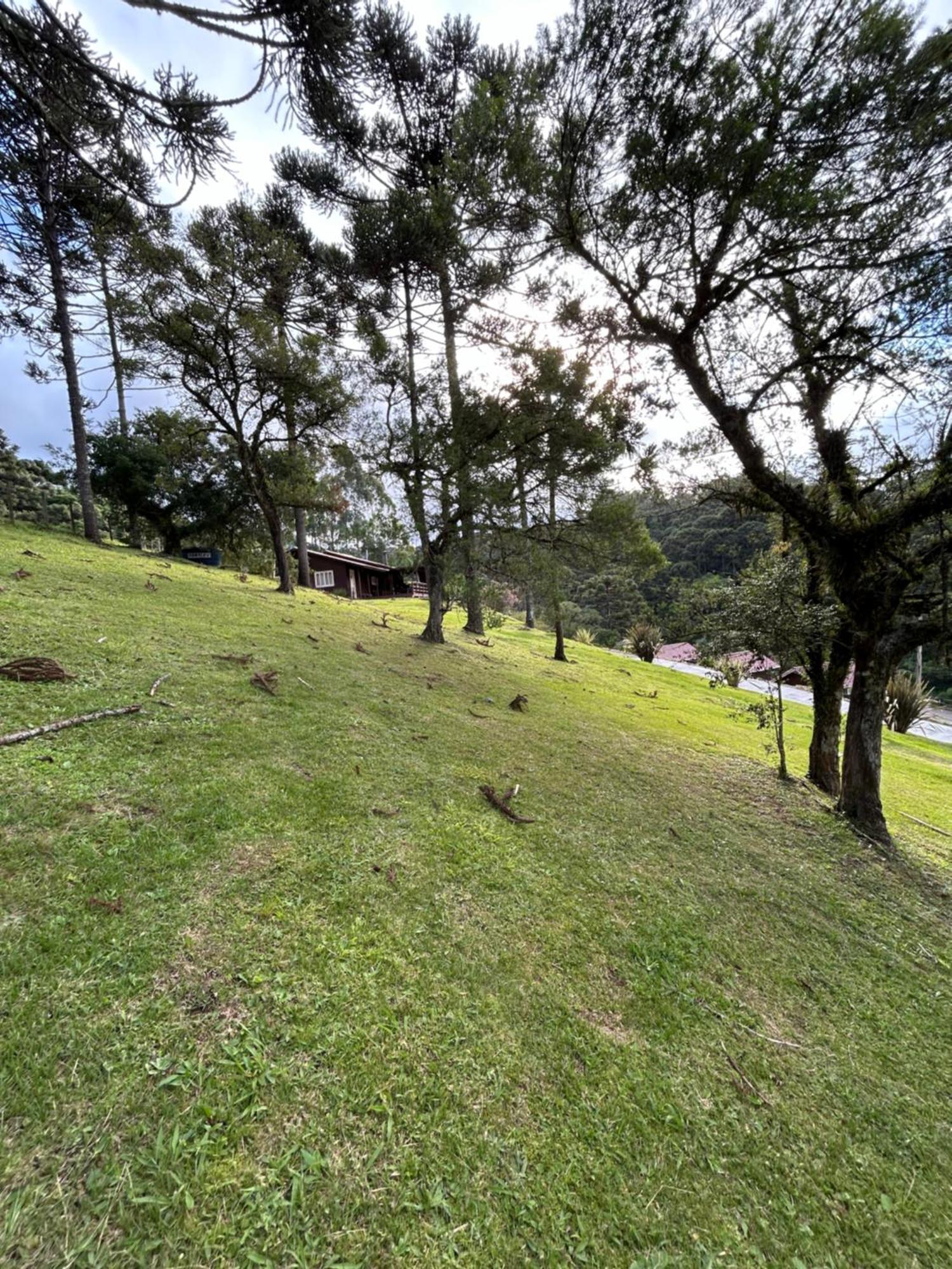 Pousada Recanto Da Gruta Urubici Eksteriør billede